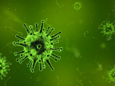 coronavirus