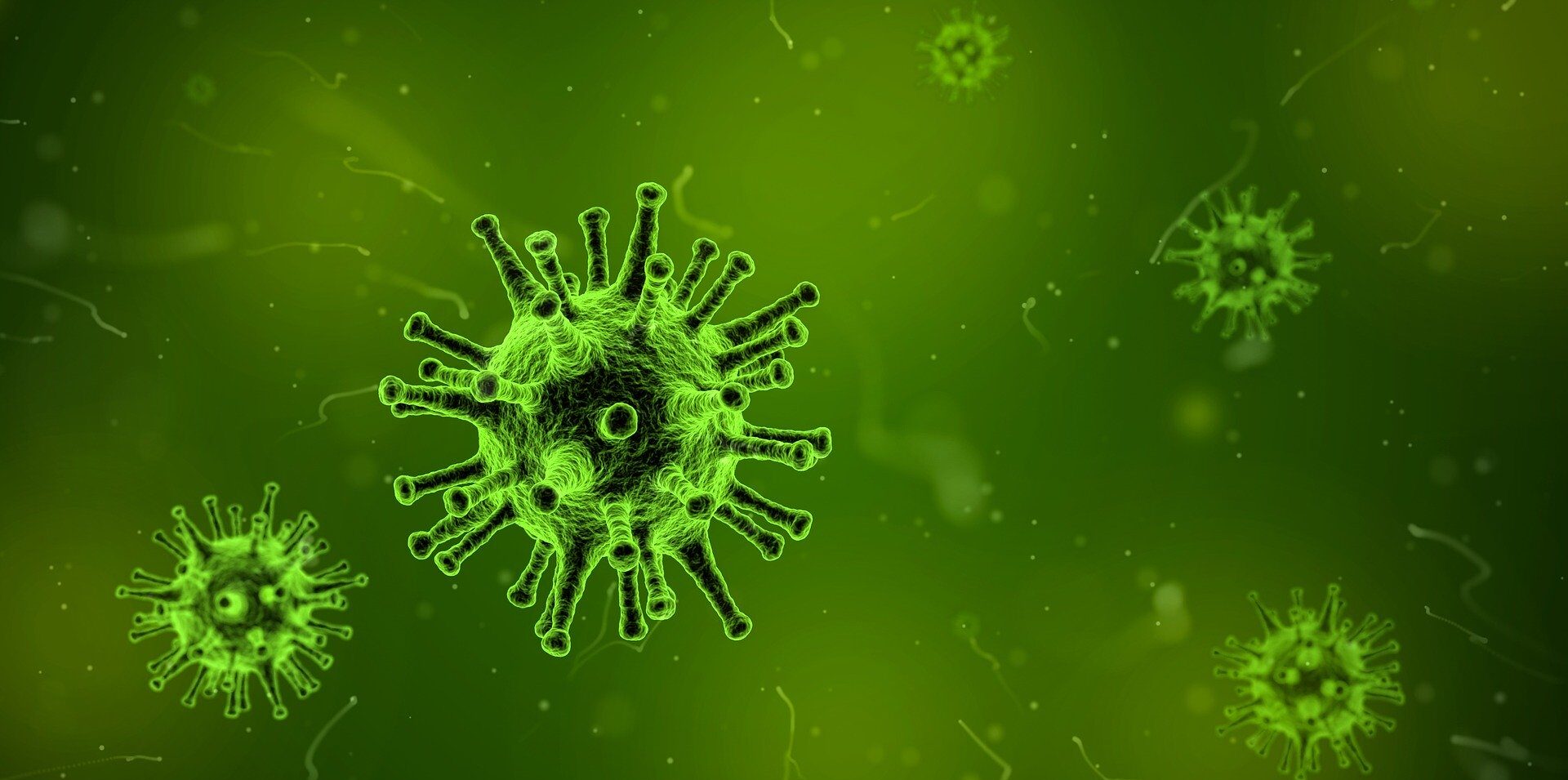 coronavirus