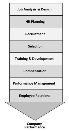 Human Resource Management: What do Human Resource Managers do?